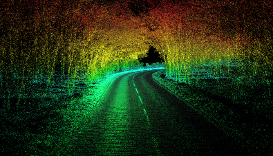 Tree canopy Point cloud